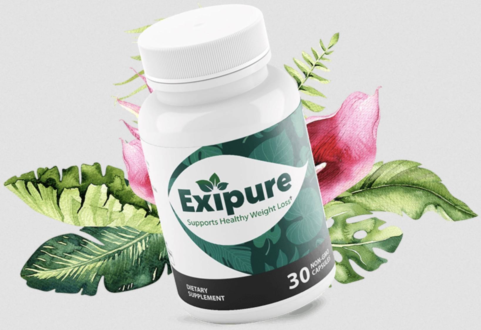 What Is Exipure Made Of